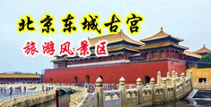 好骚好痒鸡巴操小穴高潮啊啊骚视频无码中国北京-东城古宫旅游风景区